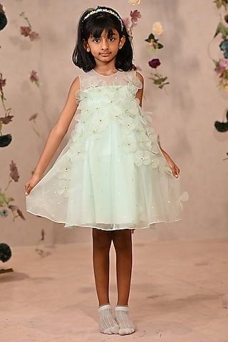 Pastel Green Viscose Organza Embroidered Dress For Girls by ARANI LABEL