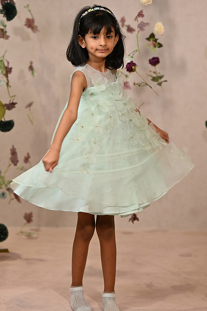 Pastel Green Viscose Organza Embroidered Dress For Girls by ARANI LABEL at Pernia's Pop Up Shop