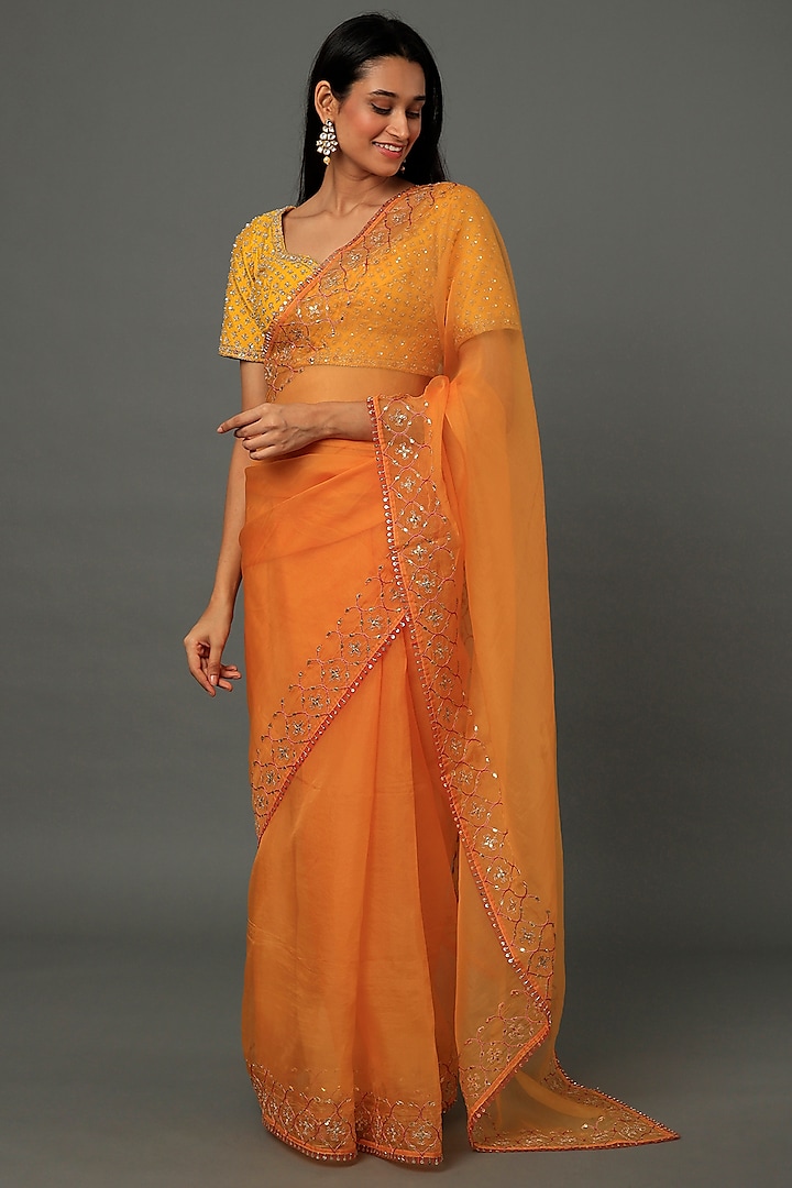 Rust Hand Embroidered Saree by aarti Sethia