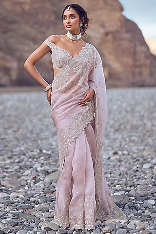 Champagne Organza Saree Set by Anushree Reddy