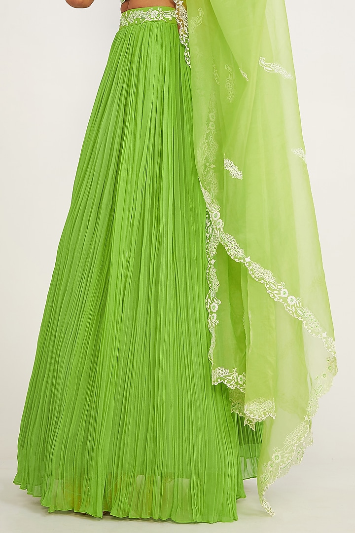 Parrot Green Georgette Embroidered Wedding Lehenga Set by ASAGA at Pernia's Pop Up Shop