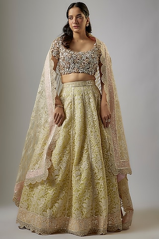 Yellow Indian Net Thread Hand Embroidered Lehenga Set by ASAL By Abu Sandeep