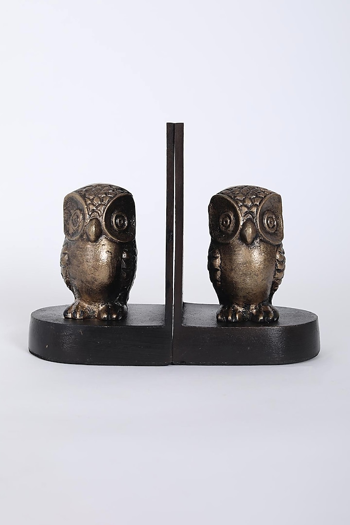 Metallic Brown Wise Owl Bookend (Set of 2) by Assemblage