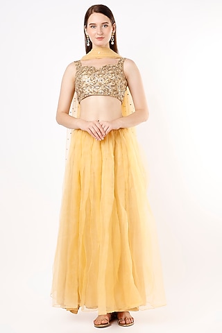 Golden Beige Embroidered Lehenga Set by Agastya The Era Edit