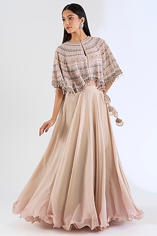 Monochrome Peach Organza & Georgette Hand Embroidered Cape Set by Amitabh Malhotra