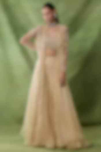 Champagne Organza Net Wedding Sharara Set by AWIGNA BY VARSHA & RITTU at Pernia's Pop Up Shop