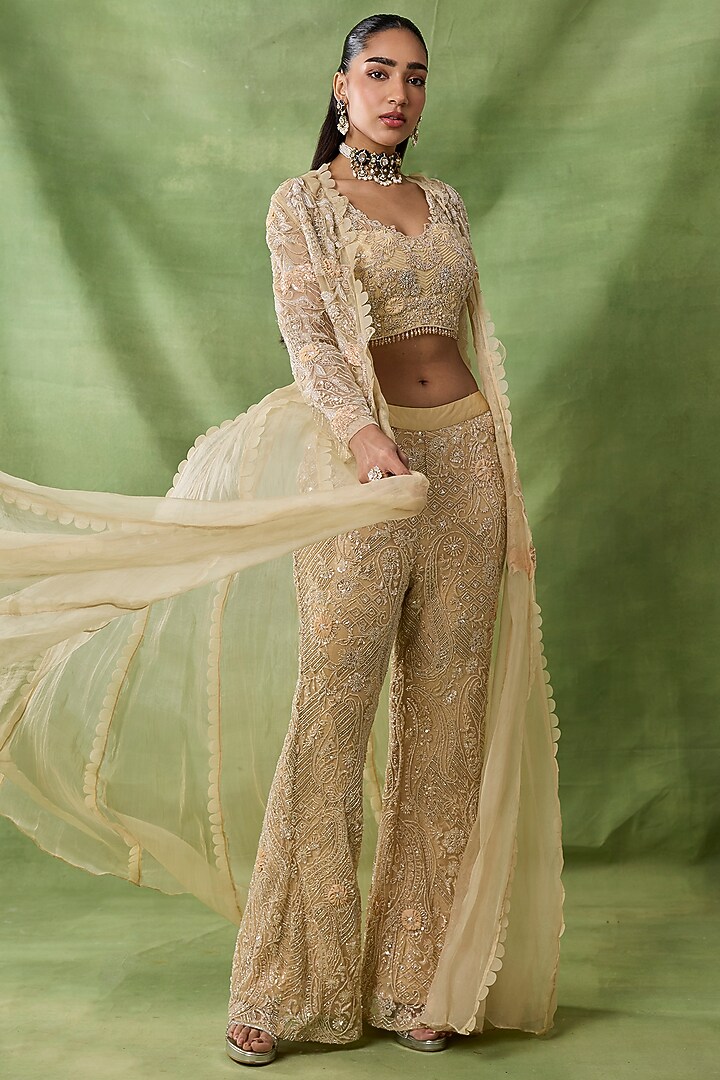Champagne Organza Net Embroidered Pant Set by AWIGNA BY VARSHA & RITTU at Pernia's Pop Up Shop