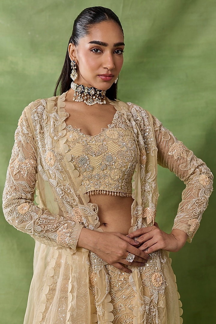 Champagne Organza Net Embroidered Pant Set by AWIGNA BY VARSHA & RITTU at Pernia's Pop Up Shop