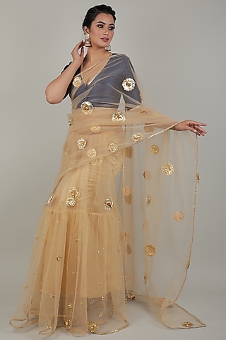 Nude Embroidered Saree Set by Ashna Vaswani