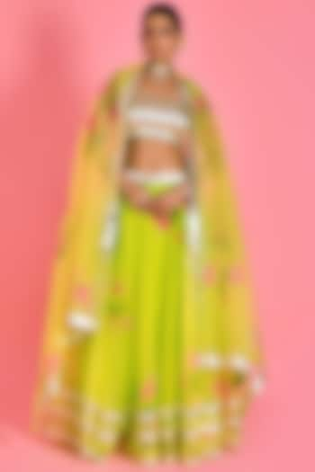 Lime Green Organza Hand Painted Lehenga Set by Bannhi