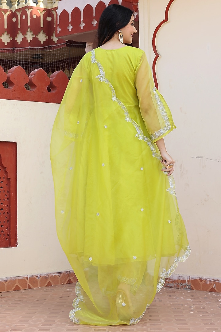 Lime Green Organza Aari Embroidered Party Wear Anarkali Set by Bannhi by Priyanka Rathore at Pernia's Pop Up Shop
