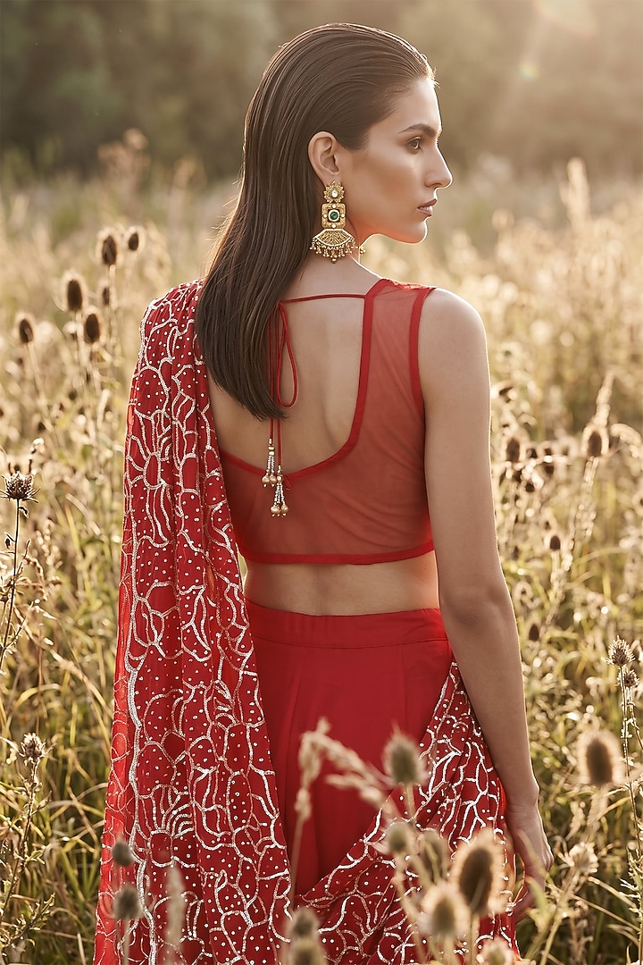 Red Organza Sequin Embroidered Draped Party Wear Saree Set by Basanti - Kapde aur Koffee at Pernia's Pop Up Shop