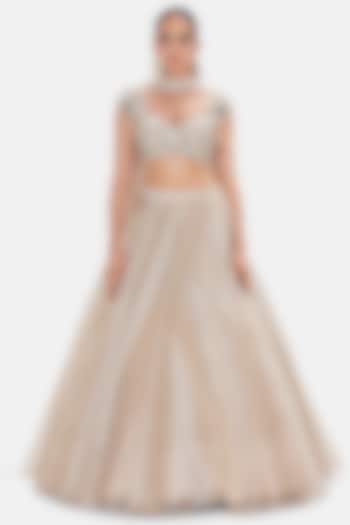 Grey Organza Sequins embroidered Lehenga Set by Basanti - Kapde aur Koffee at Pernia's Pop Up Shop