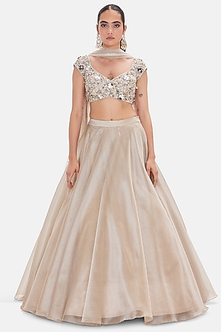 Grey Organza Sequins embroidered Lehenga Set by Basanti - Kapde aur Koffee