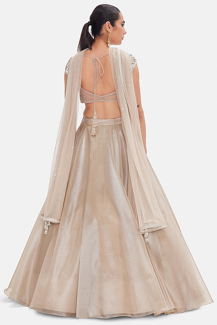 Grey Organza Sequins embroidered Lehenga Set by Basanti - Kapde aur Koffee at Pernia's Pop Up Shop
