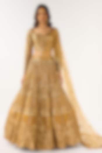 Brown Soft Net Embroidered Wedding Lehenga Set by Basanti - Kapde aur Koffee at Pernia's Pop Up Shop