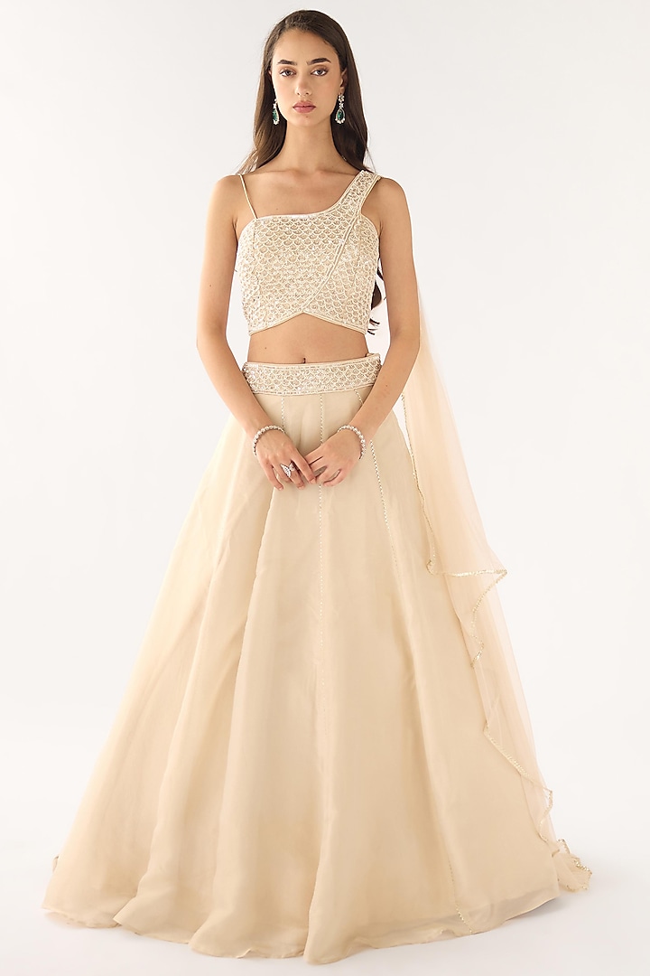 White Tissue Embroidered Lehenga Set by Basanti - Kapde aur Koffee at Pernia's Pop Up Shop