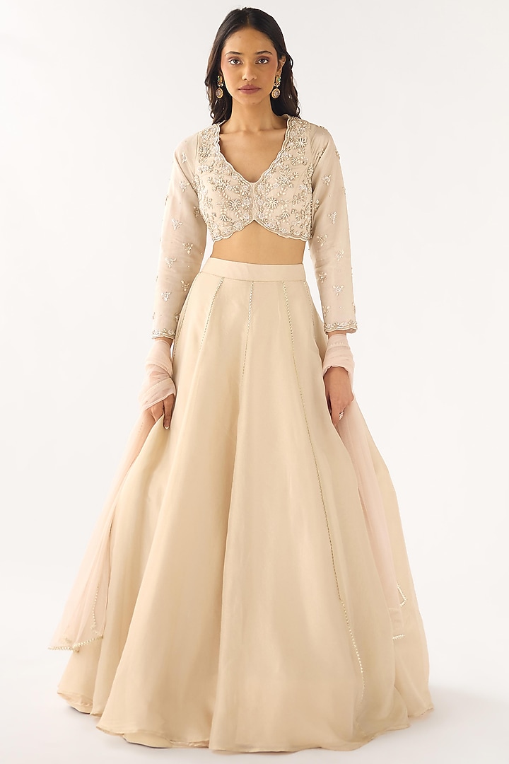 Ivory Tissue Embroidered Lehenga Set by Basanti - Kapde aur Koffee at Pernia's Pop Up Shop