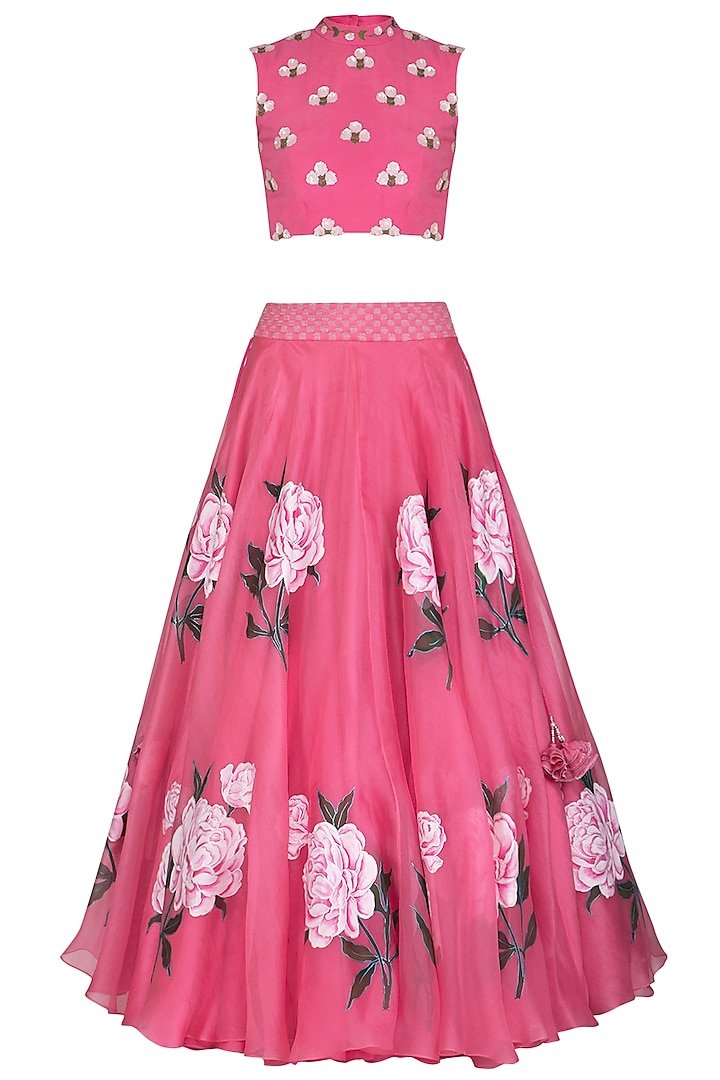 Pink Embroidered Hand Painted Lehenga Skirt With Crop Top by Baavli
