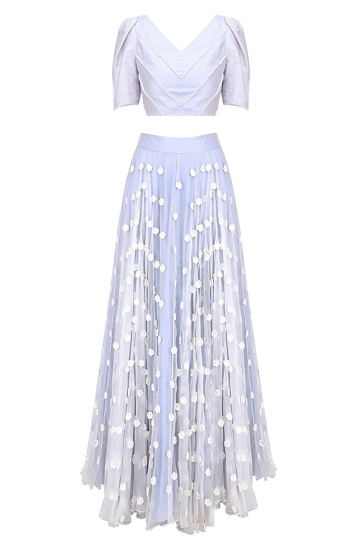 Dust Blue Pearl Embroidered Crop Top with Flower Work Skirt by Baavli