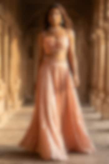 Rose Gold Organza Cutdana Embroidered Lehenga Set by Basanti - Kapde aur Koffee at Pernia's Pop Up Shop