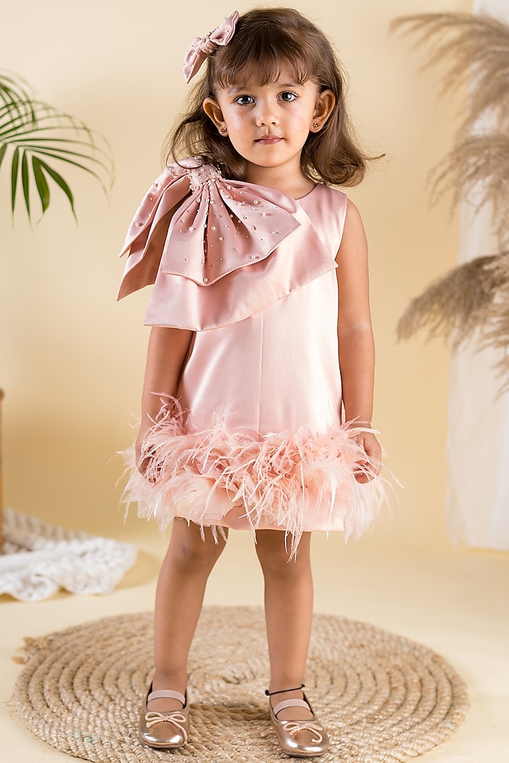 Soft Pink Satin Embroidered Feather Dress For Girls by Ba Ba Baby clothing co.