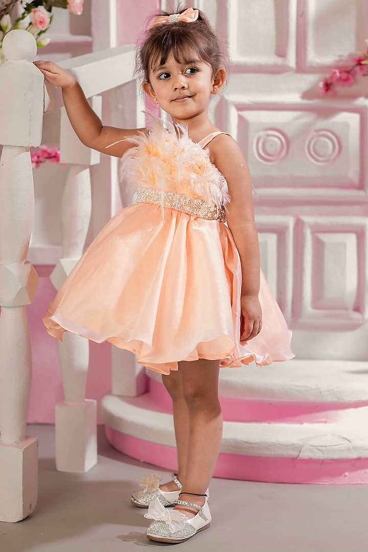 Peach Viscose Organza Dress For Girls Design by Ba Ba Baby