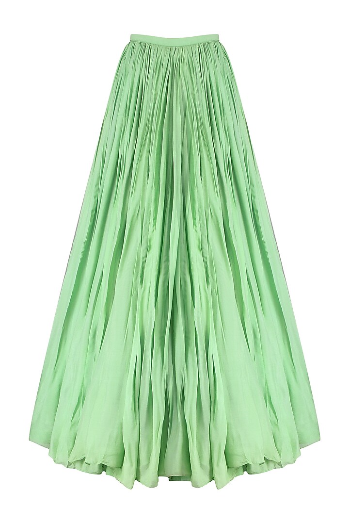 Mint Green Embroidered Net Crop Top With Net Lehenga Skirt - Rent main image 1
