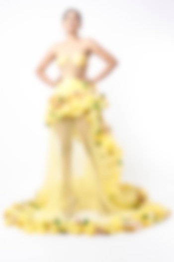 Yellow Embroidered Gown by Bennu Sehgal
