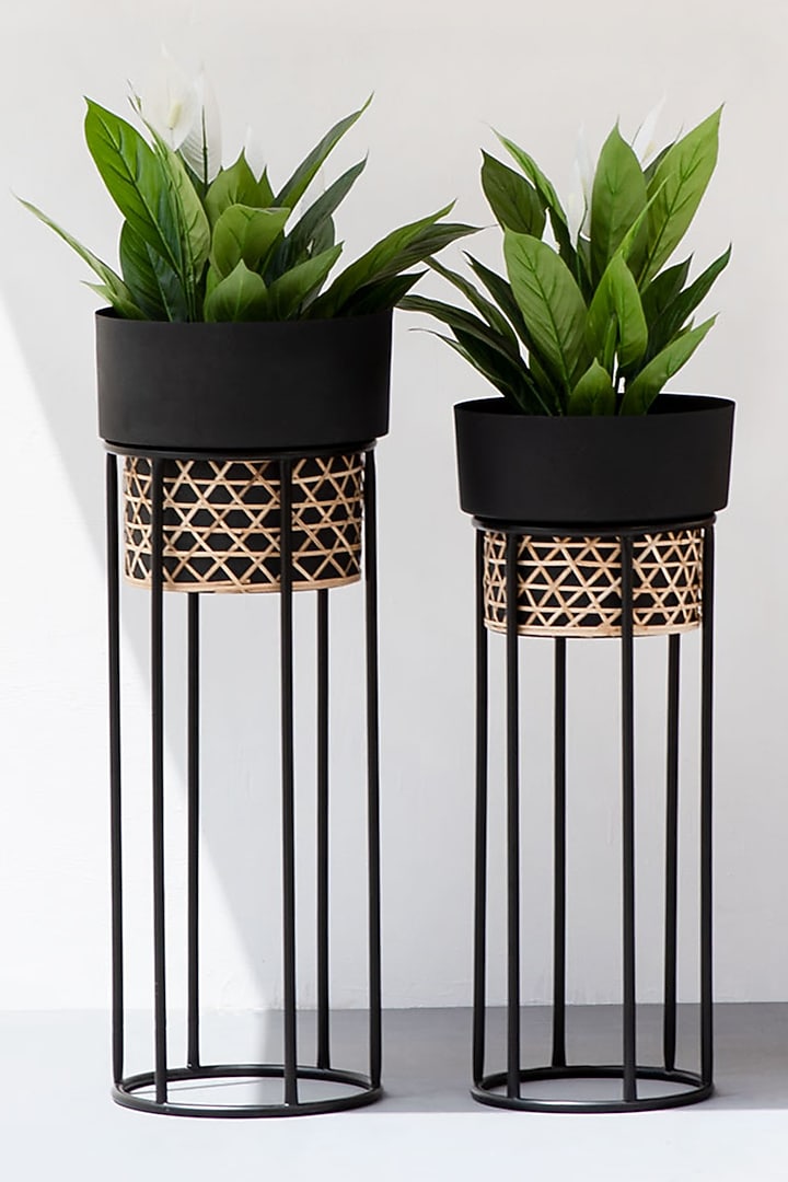 Black Textured Iron Cane Planter (Set of 2) Design by The Decor Remedy