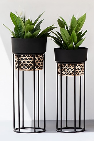 Black Textured Iron Cane Planter 
(Set of 2) by The Decor Remedy