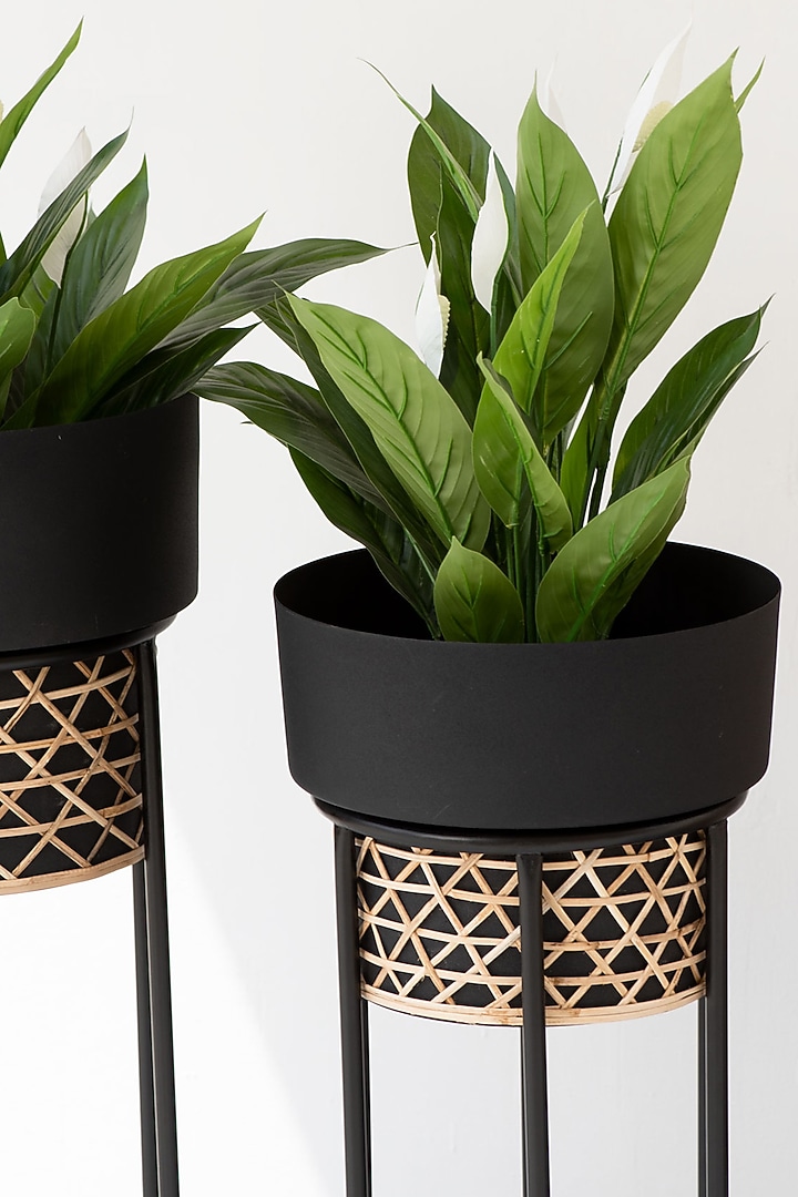 Black Textured Iron Cane Planter 
(Set of 2) by The Decor Remedy at Pernia's Pop Up Shop