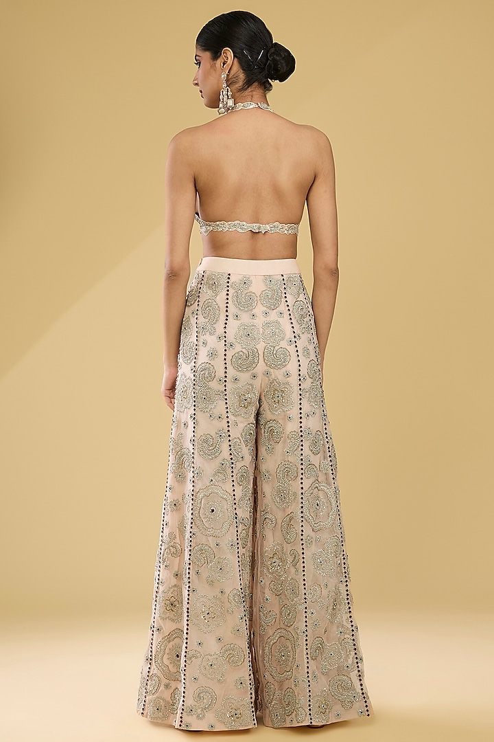 Champagne Net & Organza Embroidered Cape Set by Bhumika Sharma at Pernia's Pop Up Shop