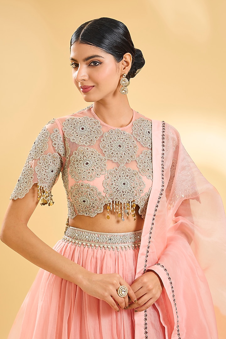Blush Pink Net & Organza Skirt Set by Bhumika Sharma at Pernia's Pop Up Shop