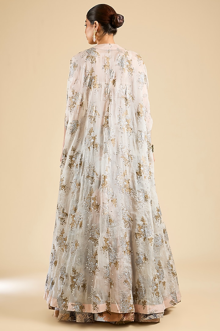 Dusty Pink Georgette & Organza Printed Skirt Set by Bhumika Sharma at Pernia's Pop Up Shop
