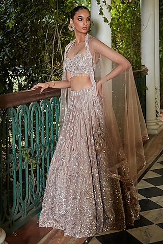 Champagne Raw Silk Hand Embroidered Lehenga Set by Bohame