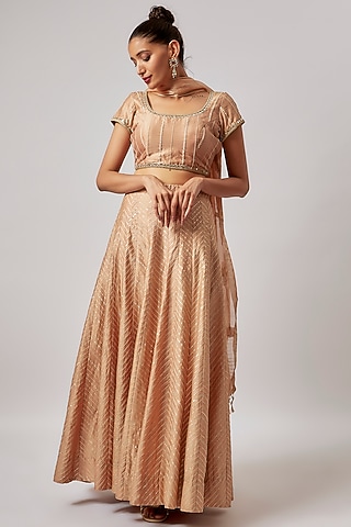 Beige Chanderi Silk Embroidered Lehenga Set by BRIJ