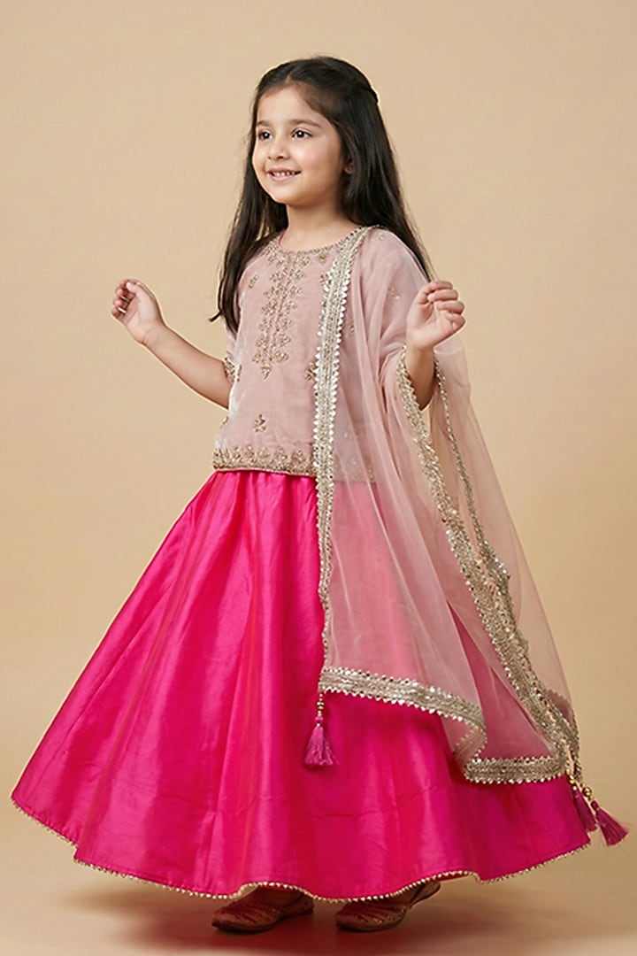 Dusty Pink Velvet Hand Embroidered Skirt Set For Girls by BYB PREMIUM at Pernia's Pop Up Shop