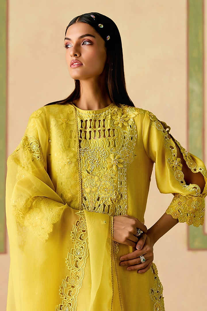 Yellow Silk Organza Cutwork Embroidered Dupatta by Chandrima at Pernia's Pop Up Shop