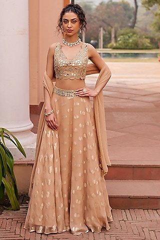 Beige-Gold Banarasi Georgette Embroidered Banarasi Lehenga Set by Chhavvi Aggarwal