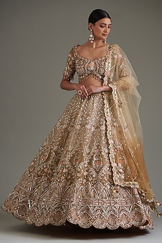 Brown Tissue Organza & Net Embroidered Lehenga Set by Chaashni by Maansi and Ketan