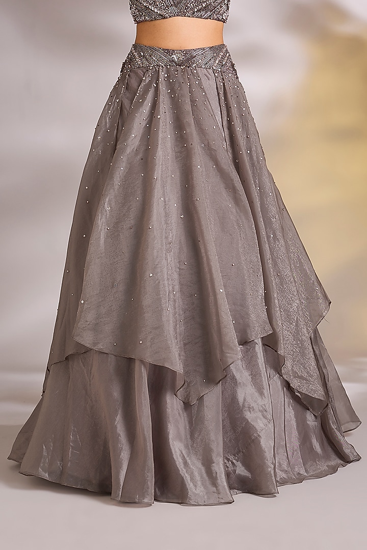 Champagne Organza Embellished Wedding Lehenga Set by Chaashni by Maansi and Ketan at Pernia's Pop Up Shop