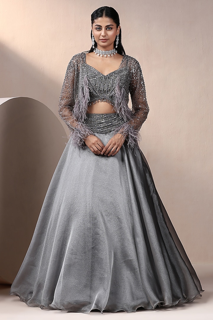 Grey Shimmer Organza & Net Jacket Lehenga Set by Chaashni by Maansi and Ketan