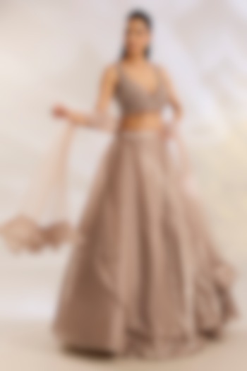 Champagne Organza & Net Sequins Embellished Wedding Lehenga Set by Chaashni by Maansi and Ketan at Pernia's Pop Up Shop