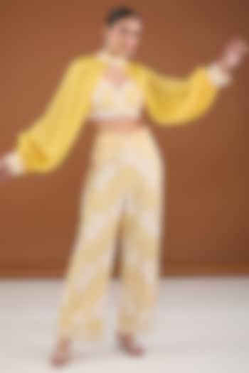 Yellow Viscose Organza Applique Embroidered Co-Ord Set by Cheena Singh