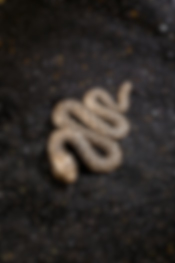 Antique Gold Finish Hand-Curated Tangled Python Brooch by Cosa Nostraa at Pernia's Pop Up Shop
