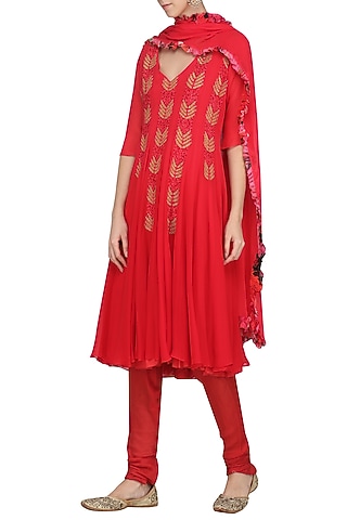 Rose Red Embroidered and Printed Anarkali Set by Chandni Sahi
