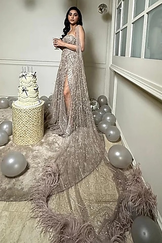 Dusty Ivory Shimmer Tulle Embroidered Gown by Dolly J