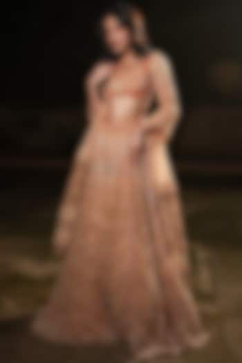Champagne Tulle & Silk Velvet Zari Embroidered Bridal lehenga for 22 Lehenga Set by TUHINA SRIVASTAVA at Pernia's Pop Up Shop