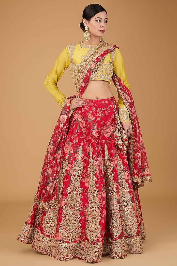 Red Organza Lehenga Set by Debyani